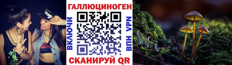 Псилоцибиновые грибы Psilocybe  Серов 